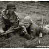 mg 356